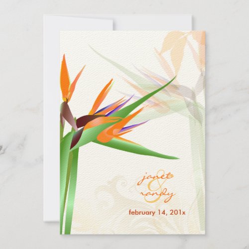 PixDezines Bird of Paradise/diy background color! Personalized Announcements