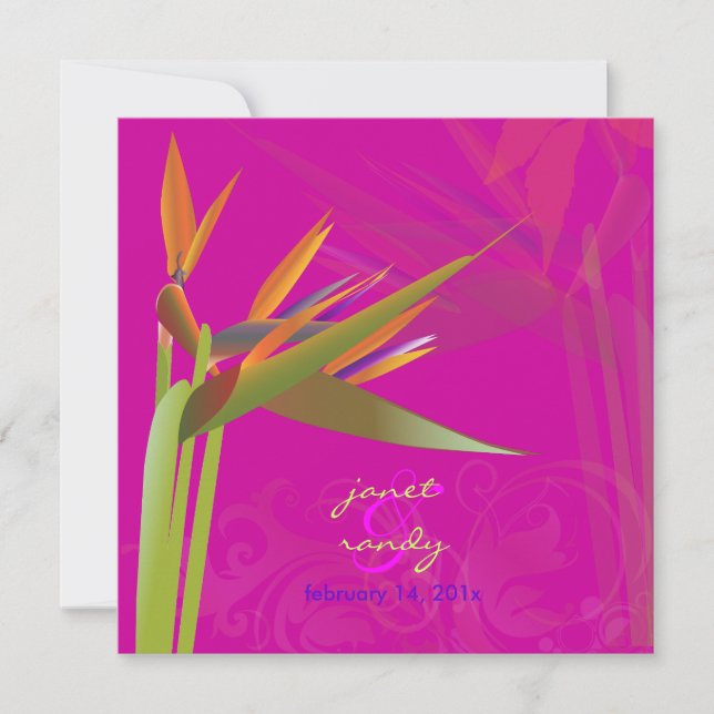 PixDezines BIRD OF PARADISE/DIY Background Color Invitation (Front)