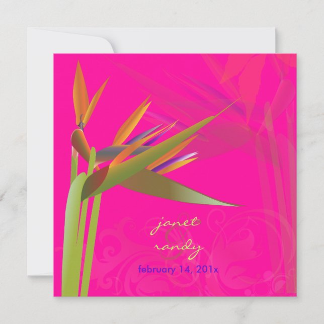 PixDezines BIRD OF PARADISE/DIY Background Color Invitation (Front)