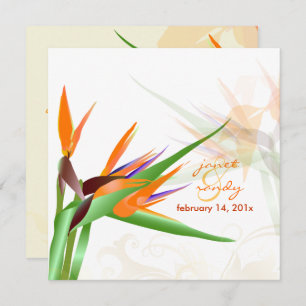 PixDezines BIRD OF PARADISE/DIY Background Color Invitation