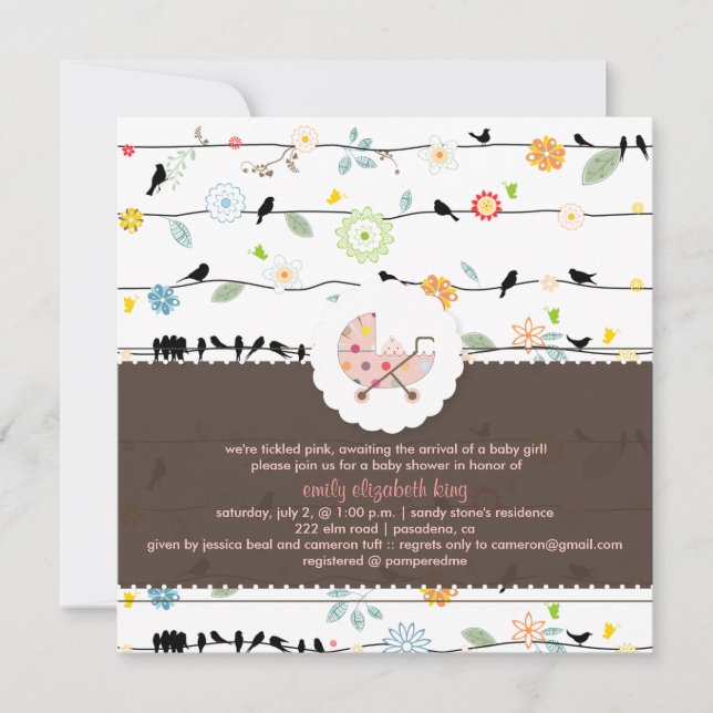 PixDezines Birds On Wires+Minidots baby shower/DIY Invitation (Front)