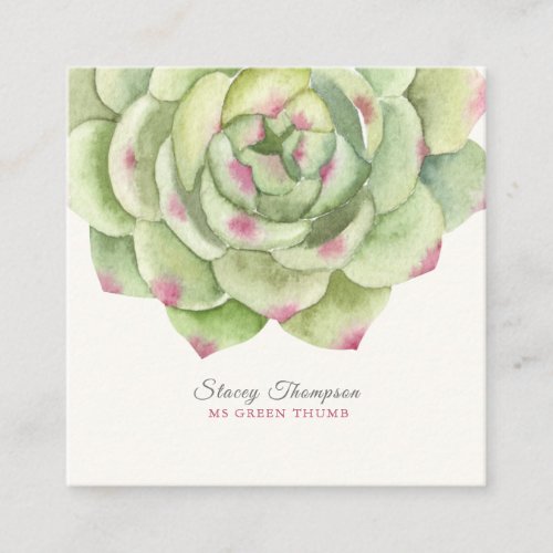 PixDezines Desert Rose Succulent Watercolor Square Business Card