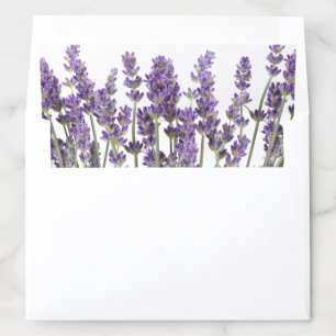 PixDezines French Provence Lavender Envelope Liner