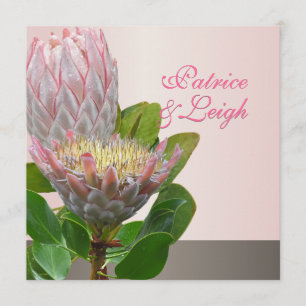 PixDezines fresh maui protea pale pink/diy Invitation
