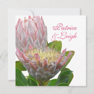 PixDezines fresh maui protea pale pink/diy Invitation