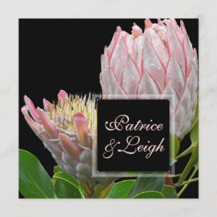 PixDezines fresh pink maui king protea Invitation