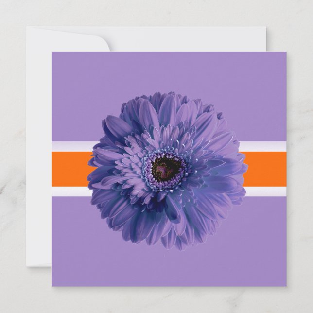 PixDezines Gerbera, purple/diy background colors Invitation (Front)