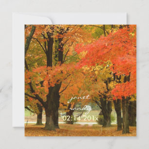 PixDezines in the woods, fall weddings/DIY events Invitation