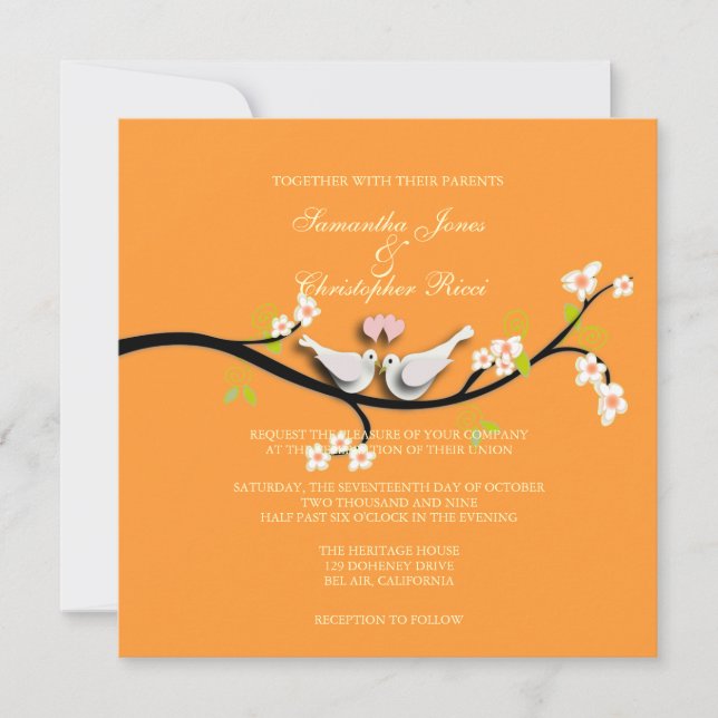 PixDezines Love Birds/White Doves Invitation (Front)