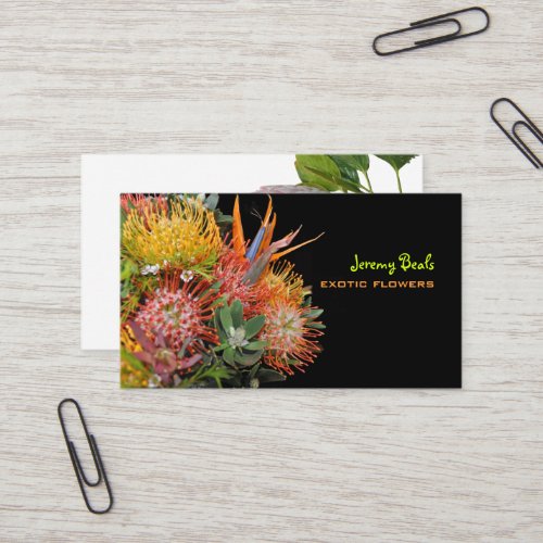 PixDezines maui protea â™¥â™¥â™¥ Business Cards