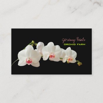 Pixdezines Orchid/diy Background Color♥♥♥ Business Card by Create_Business_Card at Zazzle
