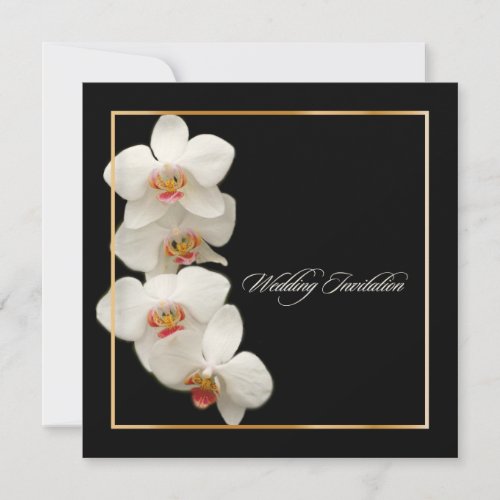 PixDezines orchids/phalaenopsis Personalized Invite