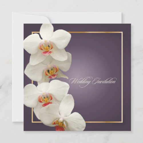 PixDezines orchids/phalaenopsis Announcement