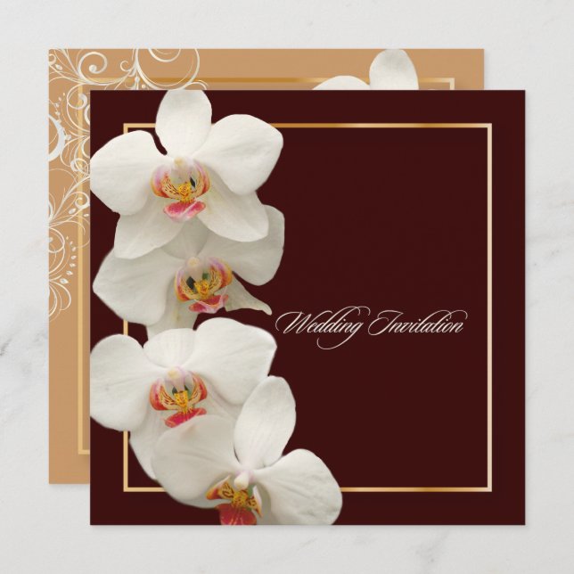 PixDezines orchids/phalaenopsis Invitation (Front/Back)