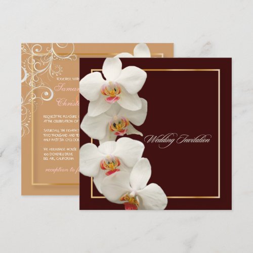 PixDezines orchids/phalaenopsis Personalized Announcements