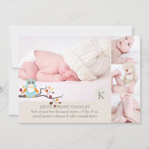 PixDezines owl photo template birth announcement
