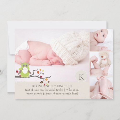PixDezines owl photo template birth announcement
