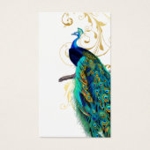 PixDezines PEACOCK/AQUA BLUE/filigree/diy bckgrnd (Front)