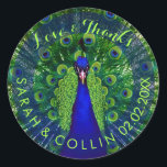 PixDezines peacock Classic Round Sticker<br><div class="desc">PixDezines psychedelic peacock feather stickers.  All elements are editable.  

DIY background color,  trim,  fonts,  and fonts' colors.

Copyright © 2008-2016 PixDezines.com™ and PixDezines™ on zazzle.com. All rights reserved.</div>