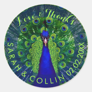 PixDezines peacock Classic Round Sticker