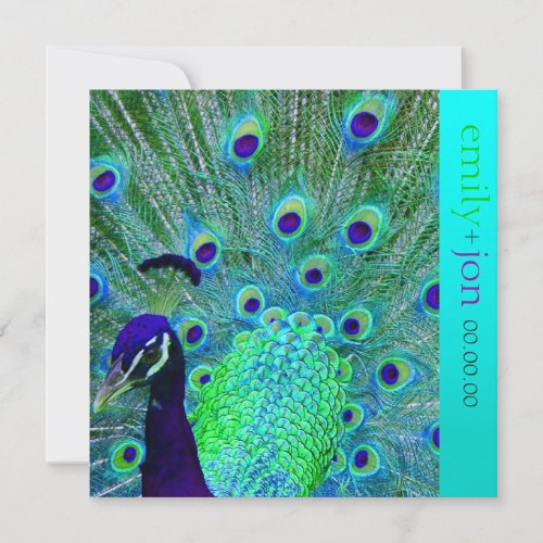 PixDezines peacock featheraquaturquoise Invitation