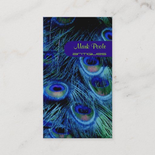 Customizable Peacock feather business cards, dark gray