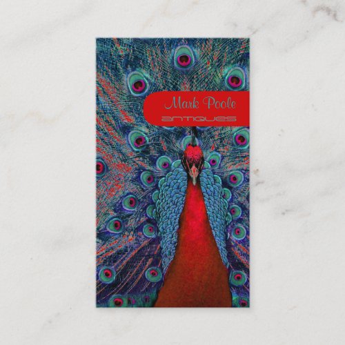 Peacock feather business cards, teal