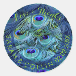 PixDezines peacock feather Classic Round Sticker