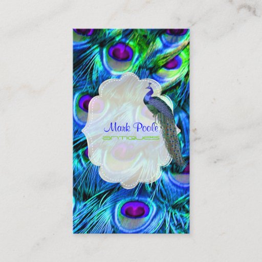 Customizable Peacock feather business cards, dark gray