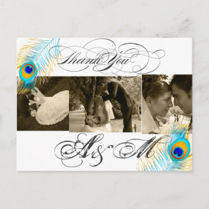 PixDezines Peacock Wedding Photos Thank you Postcard
