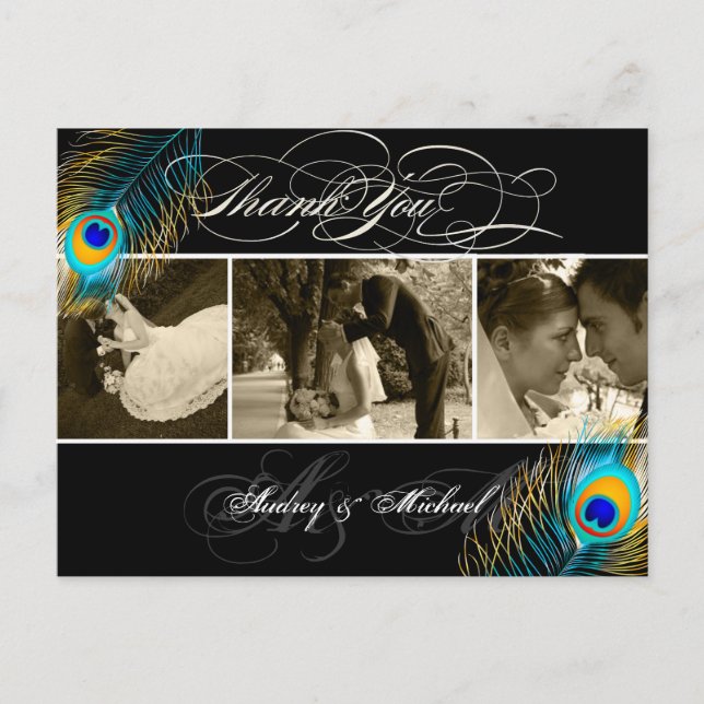 PixDezines Peacock Wedding Photos Thank you Postcard (Front)