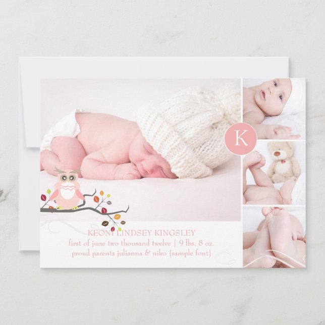 PixDezines pink owl/diy accent color Announcement (Front)