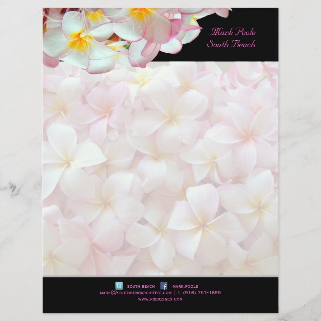 PixDezines pink plumeria/beach stationery/diy colo Letterhead (Front)