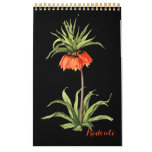 PixDezines Redoute Vintage Botanical Illustrations Calendar