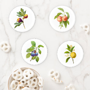 PixDezines Redoute Vintage Illustrations Fruits Coaster Set