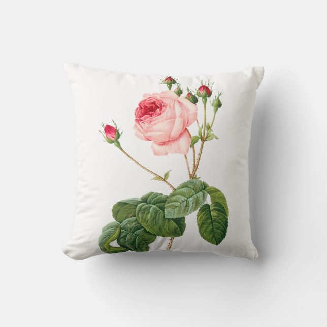 PixDezines Redoute Vintage Roses/DIY background Throw Pillow (Front)