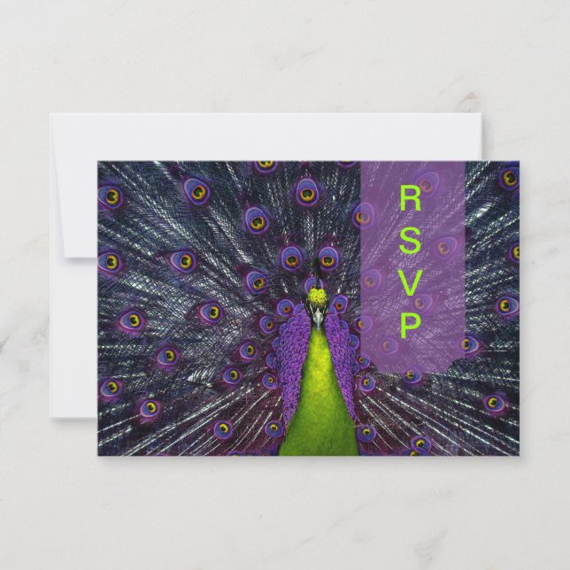 PixDezines rsvp Peacock Feather Card (Front)