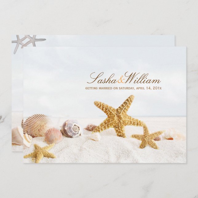 PixDezines Seashells/Beach Invitations (Front/Back)