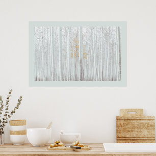 PixDezines Silver Birch Forest DIY Border Color Poster