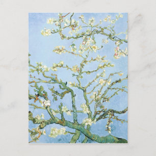 PixDezines Van Gogh Almond Blossom at Saint-Rémy Postcard