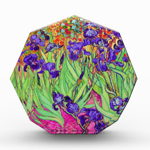 PixDezines van gogh iris/st. remy Award