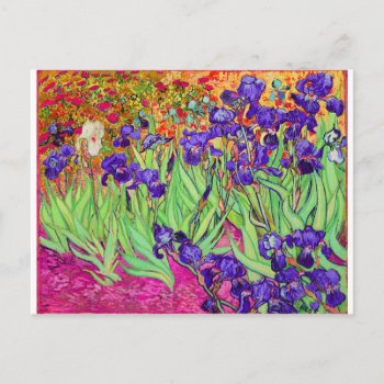 Pixdezines Van Gogh Iris/st. Remy Postcard by The_Masters at Zazzle