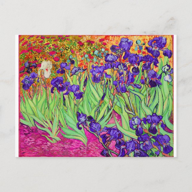 PixDezines van gogh iris/st. remy Postcard (Front)