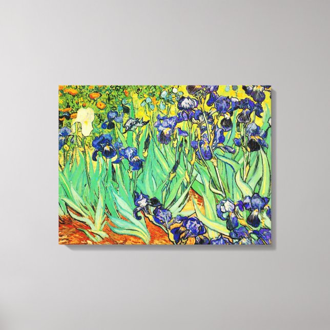PixDezines van gogh irises/st. remy Canvas Print (Front)