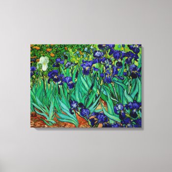Pixdezines Van Gogh Irises/st. Remy Canvas Print by The_Masters at Zazzle