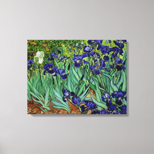 PixDezines van gogh irises/st. remy Canvas Print (Front)