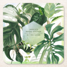 PixDezines Variegated Monstera Tropical Foliage