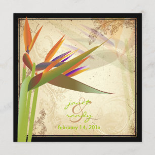 PixDezines VINTAGE BIRD OF PARADISE Invitation