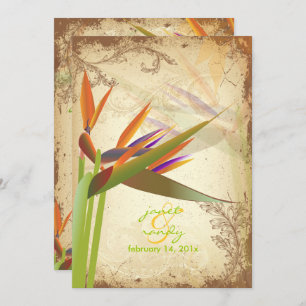 PixDezines VINTAGE BIRD OF PARADISE Invitation