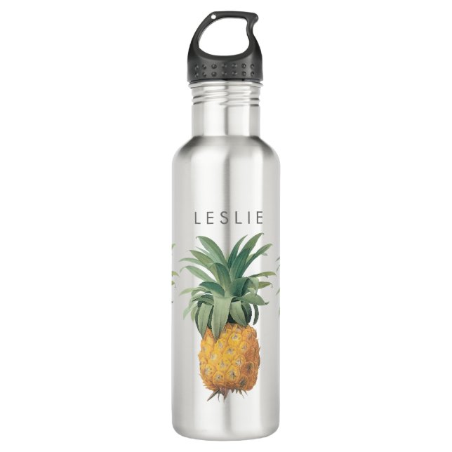 PixDezines vintage pineapples illustration Water Bottle (Front)